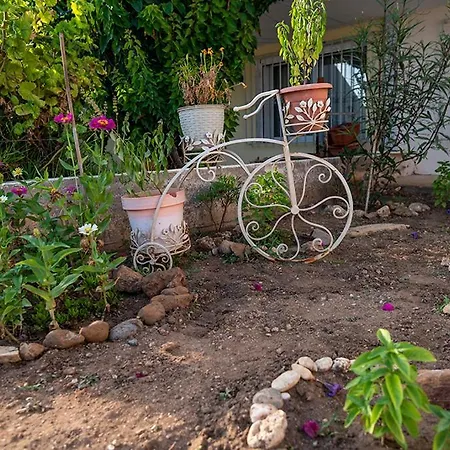 The House Chalkidiki * Γερακινή