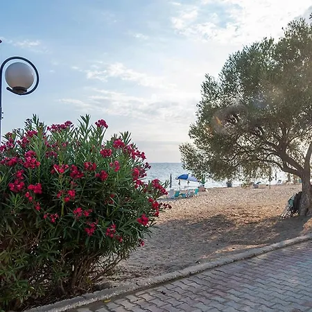 The House Chalkidiki